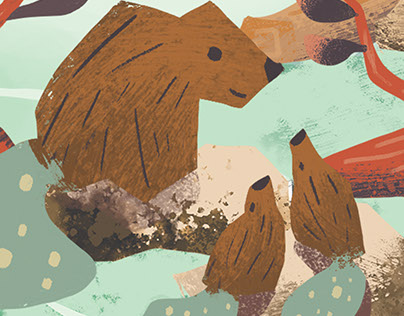 Beaver Illustration