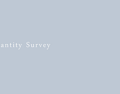 Quantity survey projects