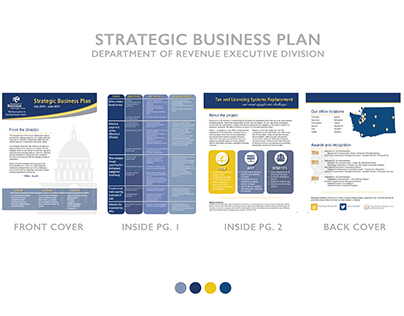 Strategic business plan, report