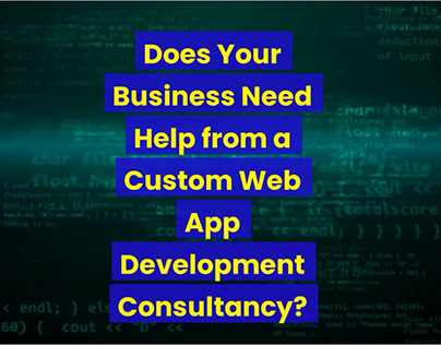 Custom Web App Development Consultancy