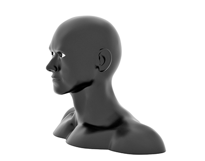 Exploration of 3D modeling human anatomy