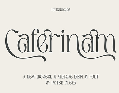 Deco & Elegant Serif Font