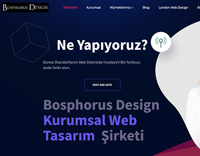 Maslak Web Tasarım: Bosphorus Design