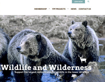 Yellowstone Park Foundation | forthepark.org