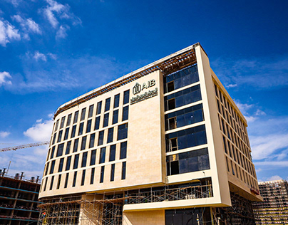 Arab International Bank