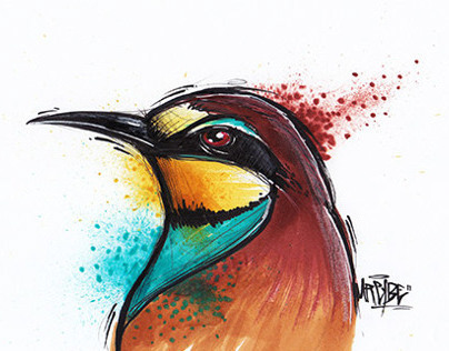 Illustrated birds