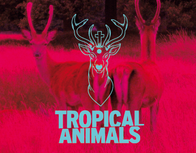 Tropical Animals Logo Restyling