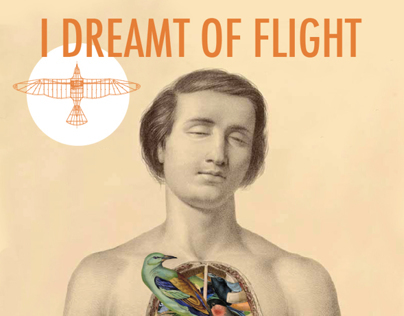 Poster 'I dreamt of flight'