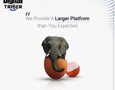 We Provide A Larger Platform than You Expected.
