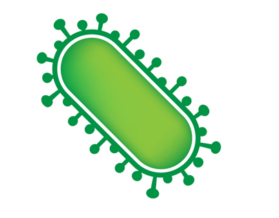 Minimalist E. coli model systems and invasion