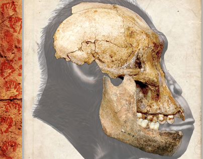Australopithecus sediba - "Karabo" - MH1 (Book Project)