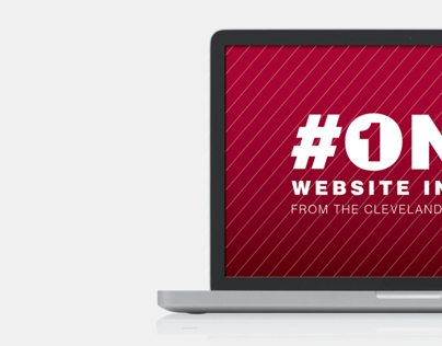 #1 Website in Ohio Campaign