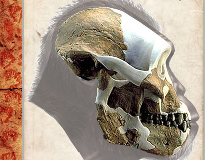 Australopithecus afarensis - AL 333 (Book Project)