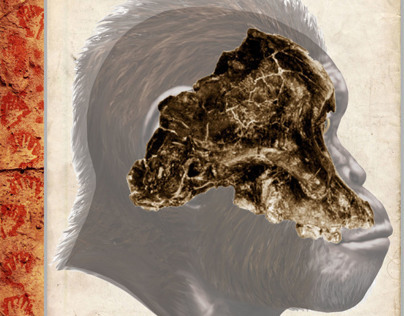 Australopithecus afarensis - AL-333-105 (Book Project)