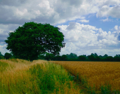 Coggeshall | Walking The Country