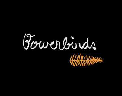Bowerbirds - The Clearing