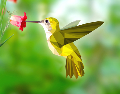 Hummingbird Polygon Illustration
