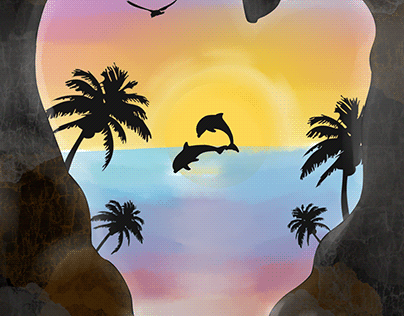 sunset dolphins