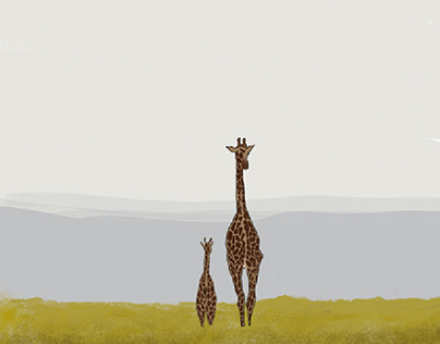 Giraffe afar