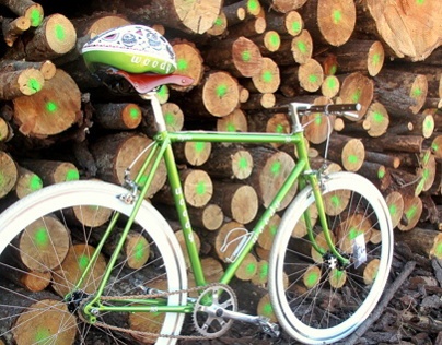Woody bicycles brand and customizing