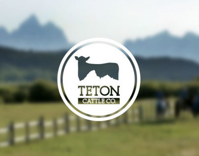 Teton Cattle Co