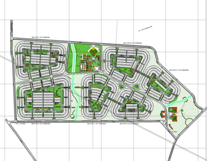 Socialist Agrarian Project, Urban Design project