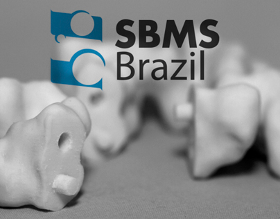 SBMS Brazil - Structured Based Molecular Solution