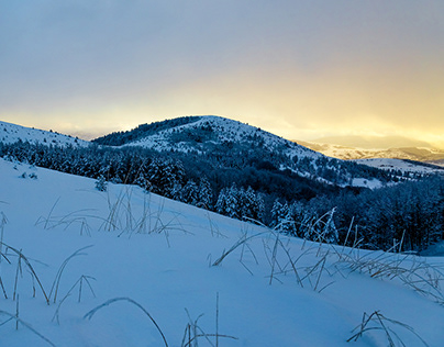 Winter in Zlatibor hills