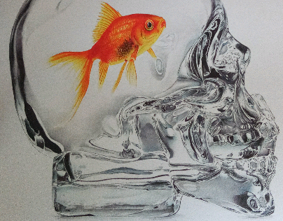 "Memory Fish" BIC ballpen colors drawing