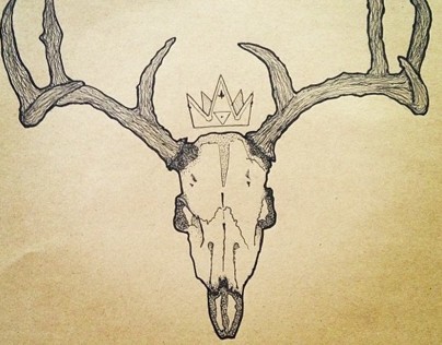 Skull of Deer