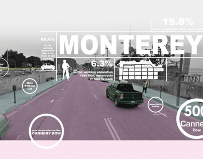 Monterey Site Analysis Infographics