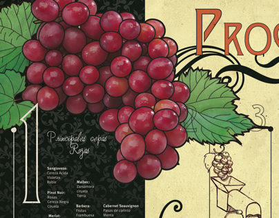 Wine Infographics