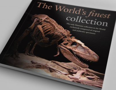 Brochures Collection Dinosaures