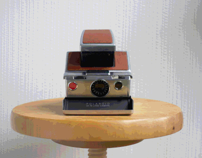 Polaroid Lockdown