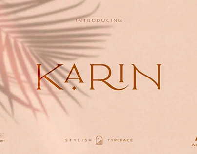 Elegant Karin Font – Fashion Stylish Typeface