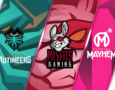 Misfits Gaming Group