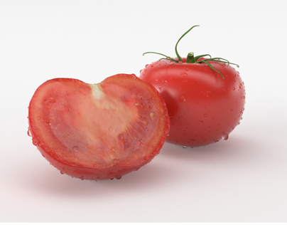 Tomatoes Rendering