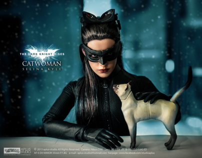 Hottoys Catwoman TDKR