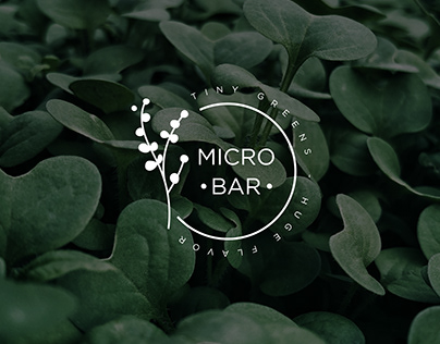 Brand Identity for MICROBAR
