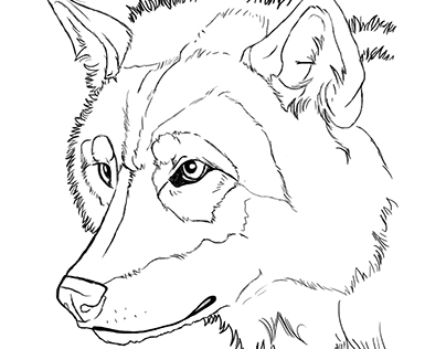 Wolf - Digital Art