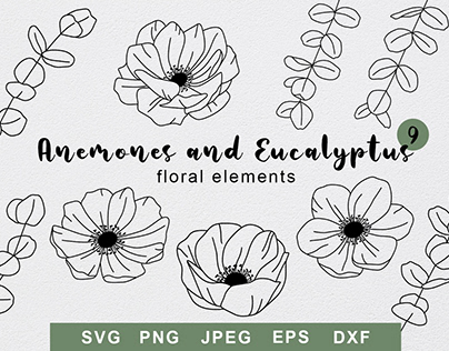 Set of anemones and eucalyptus. Graphic floral elements