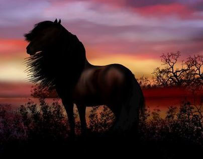 Landscape Sunrise and horse