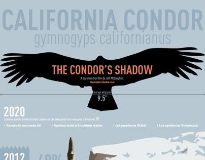 The Condor's Shadow Infographic