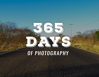 365 Days of Photography [2015]