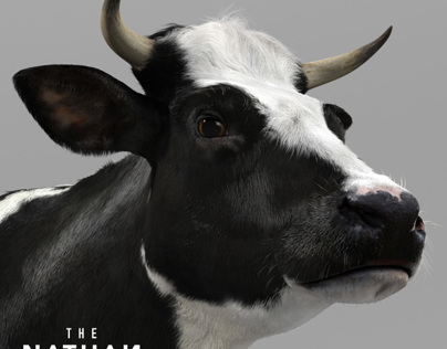 Adult Holstein Cow 3D Model