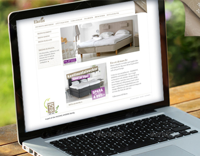 EKENS Website 2012-2013 - Web design