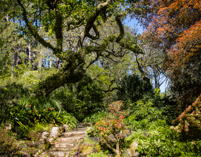 Wellington Botanical Gardens
