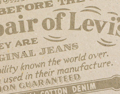 Levi's 501 Jeans Book