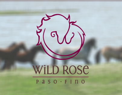 Wild Rose Paso Fino