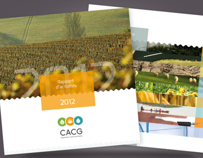 CACG, rapport d'activités 2012